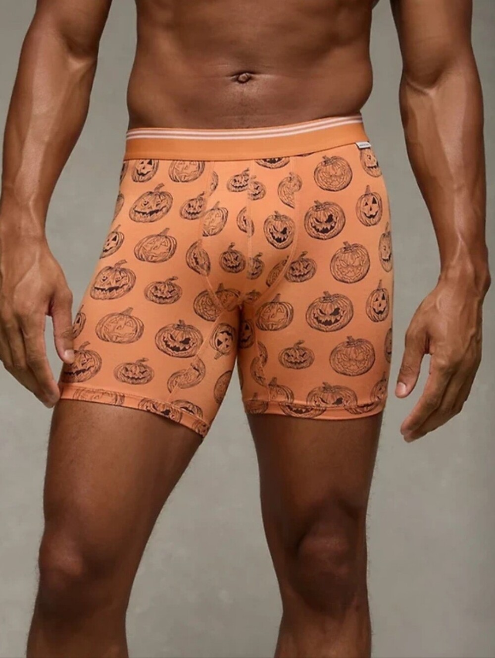 American Eagle Outfitters (Pick 1) Men’s Boxer Briefs - Picture 8 of 14